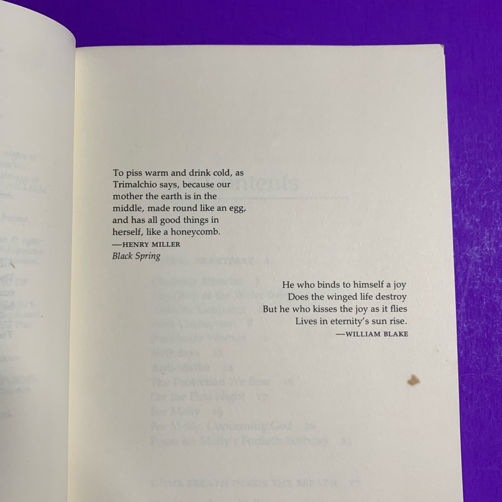 “Ordinary Miracles” , poems by Erica Jong - Picture 7 of 12